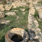 Photo taken by Judi W