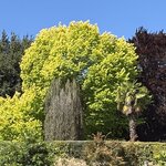 Photo taken by susan s