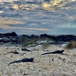 Photo taken by Katarzyna W