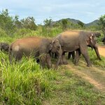 Photo taken by Bryce W