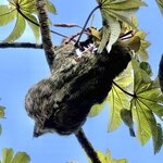 Photo taken by Ben B