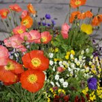 Photo taken by Eric T