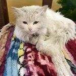 Photo taken by Diego B