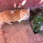 Photo taken by Hilda S