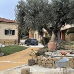 Photo taken by Andrea B