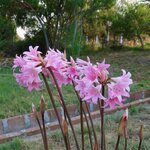 Photo taken by Joe S