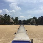 Photo taken by Wendy T