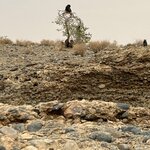 Photo taken by Nigel R