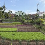 Photo taken by Chad K