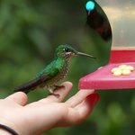 Hummingbird Garden | Photo taken by Laura M