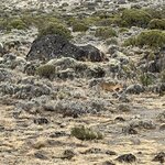 Photo taken by Michael L