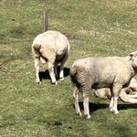 Photo taken by Tamara C