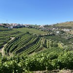 Photo taken by Lisa B