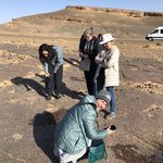 Fossils | Photo taken by Victoria M