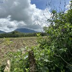 Photo taken by Lauren A