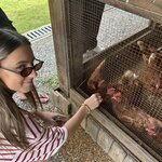 Photo taken by Dianne M