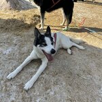 Photo taken by Bethany G