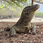 Photo taken by Nancy P