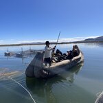 Photo taken by Alpa M