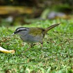 Photo taken by Dawne D