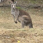 Photo taken by Susan C