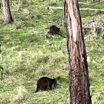 Photo taken by Hari R