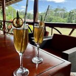 Photo taken by Thomas R