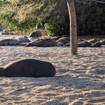 Photo taken by Jennifer A