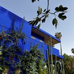 Photo taken by Victoria L