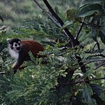 Photo taken by Andy H