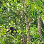 Photo taken by Brett F