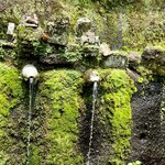 Photo taken by Lisa C