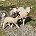 Photo taken by Susan K