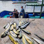 Photo taken by John Mark W