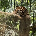 Photo taken by Jacqueline R