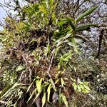 Photo taken by Ben B