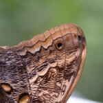 Photo taken by Wilbert A