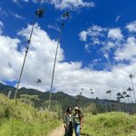 Photo taken by Bincy P