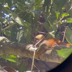 Photo taken by Mary D