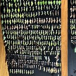 Photo taken by Brian L