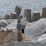 Photo taken by Jananee J