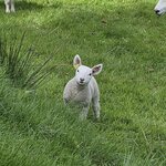 Photo taken by Vikki M