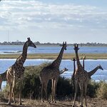 Photo taken by rhonda c