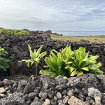 Photo taken by Courtney W