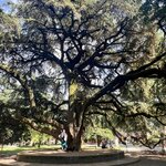 Photo taken by Erin J