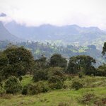 Photo taken by Miranda M