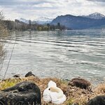 Photo taken by Lisa H