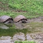 Photo taken by Jennifer A