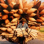 Photo taken by DAVID C