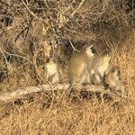 Photo taken by Tom B